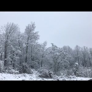 Meet your Posher, Lea anne